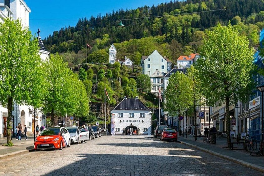 Private Guided City Sightseeing - Bergens Top Attractions 2