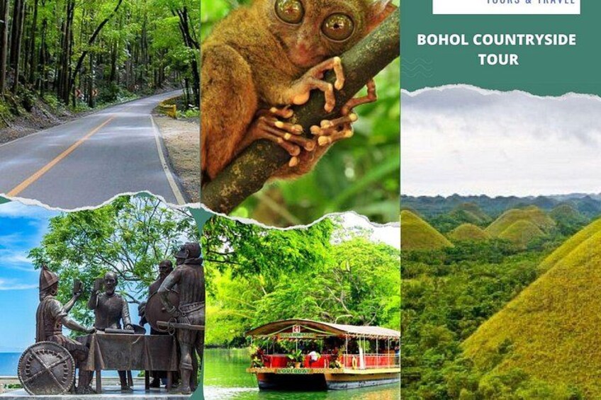 Bohol Countryside Tour from Cebu Loboc River Cruise with Lunch 3
