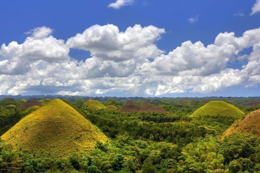Chocolate Hills 4
