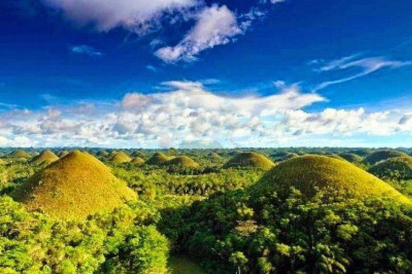 A landscape with numerous mounds surrounded by dense green foliage under a clear blue sky. 2