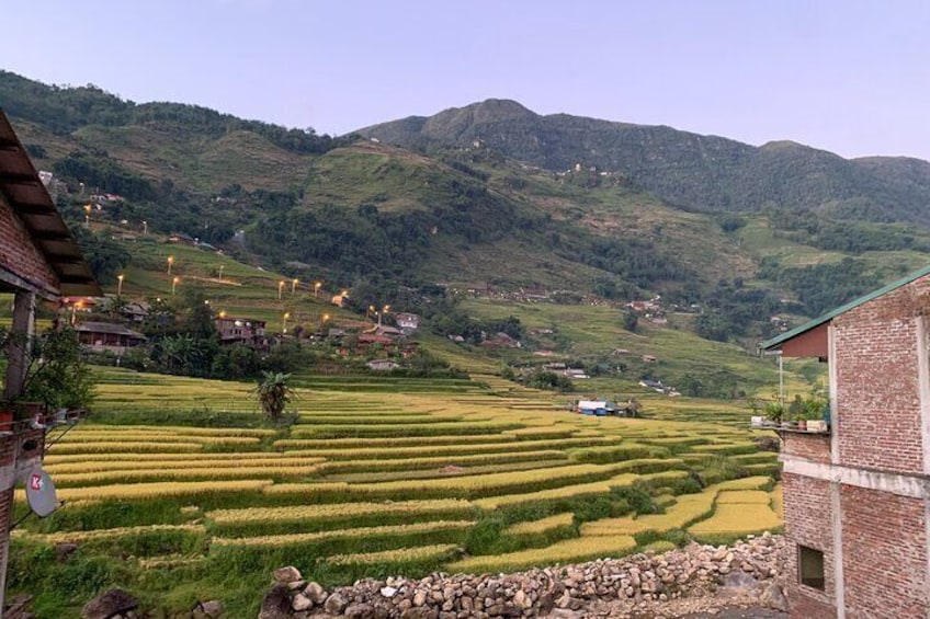 Sapa Rice 2