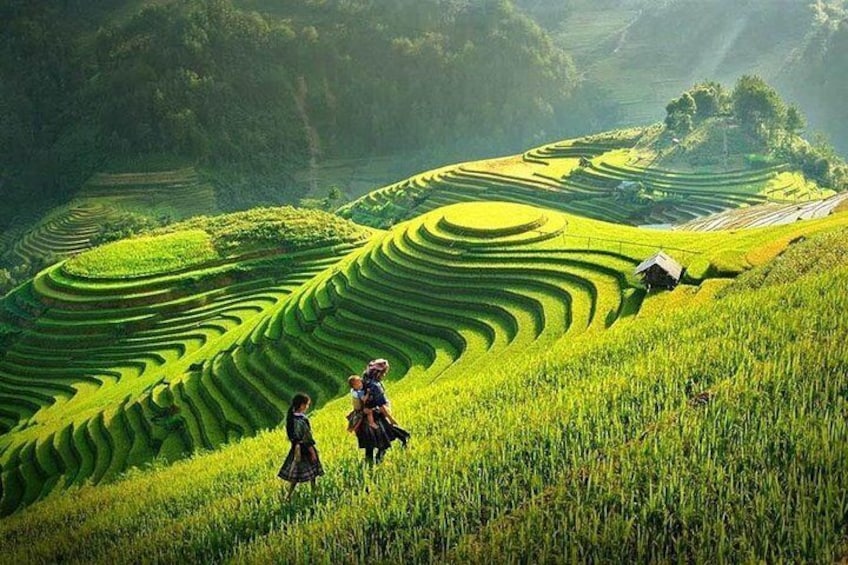Sapa Trekking Tour 2 Days 1 Night By Bus 1