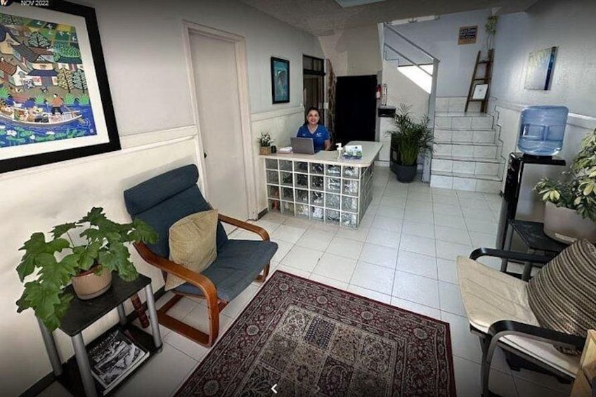 Un salon avec un fauteuil bleu, un tapis à motifs, une table basse et une plante posée sur une table d’appoint. 2