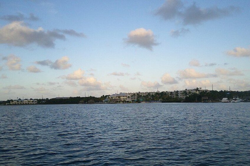 Shoreline view from Balckwater sound the gulf side of Key Largo. 3