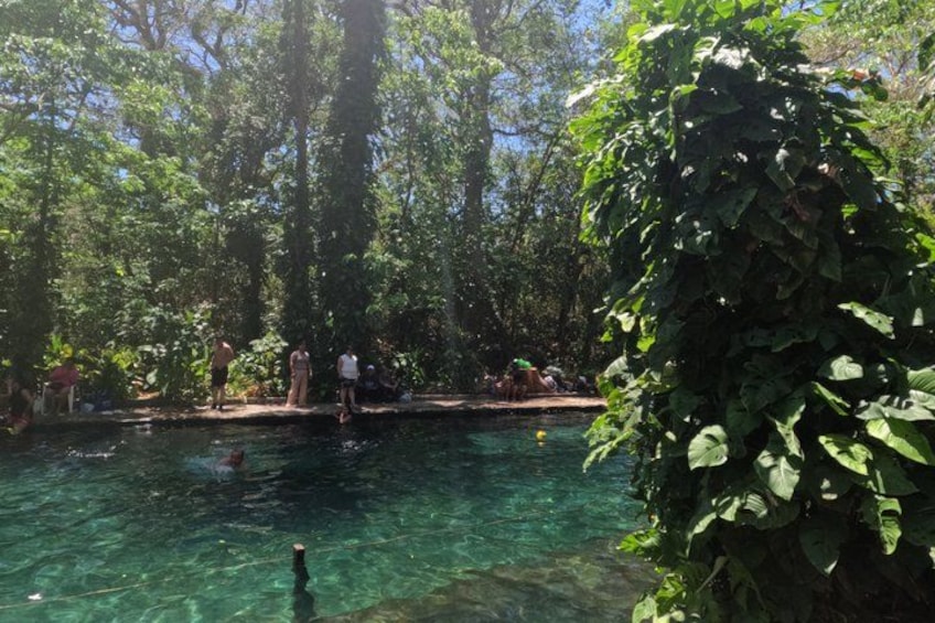 A clear pool surrounded by lush greenery, with people swimming and standing by the edge. 2