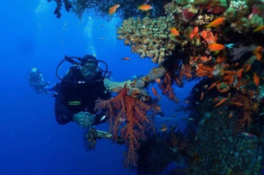 A diver exploring a vibrant underwater reef with coral formations and fish. 5