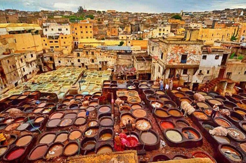 7 Days Luxury Desert Tour From Casablanca to Marrakech via fez -Camel trekking 5