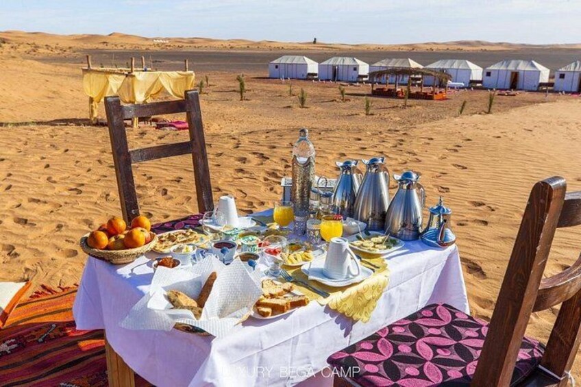 7 Days Luxury Desert Tour From Casablanca to Marrakech via fez -Camel trekking 2