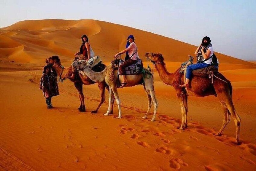 7 Days Luxury Desert Tour From Casablanca to Marrakech via fez -Camel trekking 3