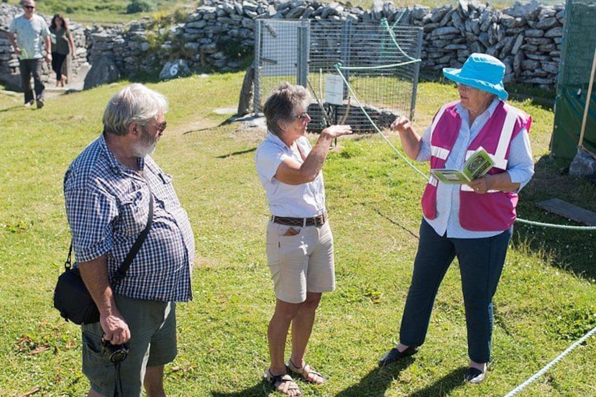 Three people outdoors, one holding a map, standing on grass with a stone wall and a metal fence in the background. 4