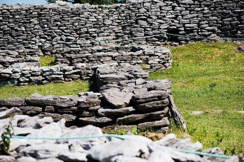 Caherconnell Fort & Sheepdog Demonstrations 3