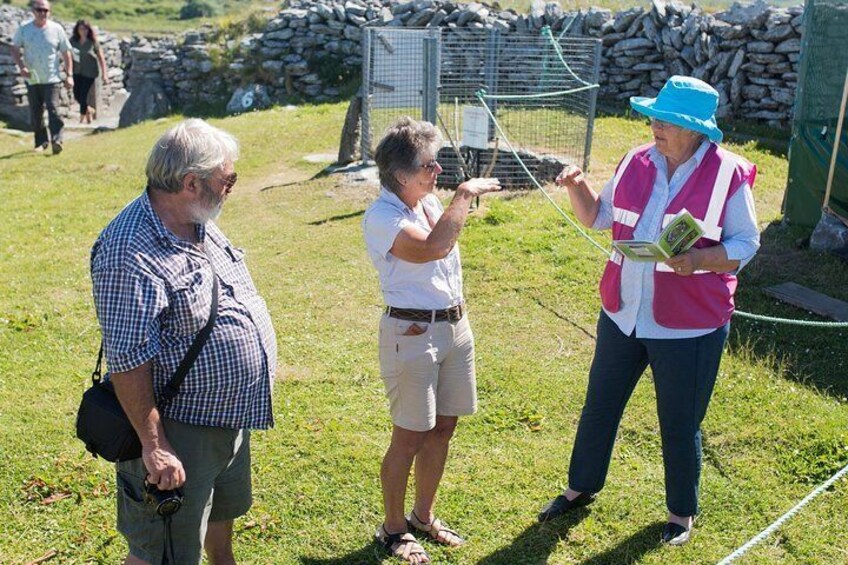 Caherconnell Fort & Sheepdog Demonstrations 4