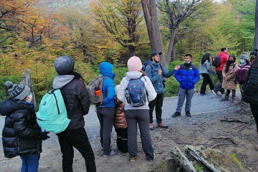 Full Day Torres del Paine