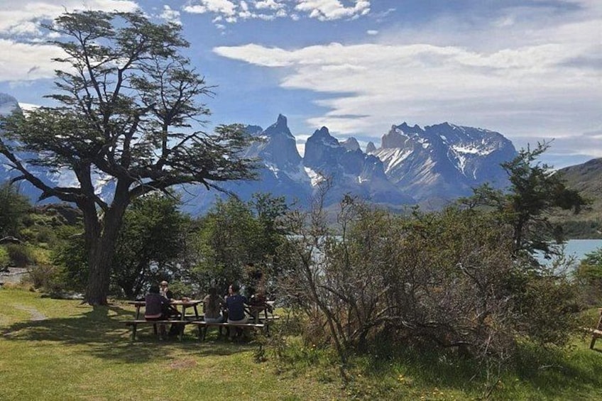 Une table de pique-nique avec des personnes assises autour, un grand arbre et une chaîne de montagnes en arrière-plan. 4