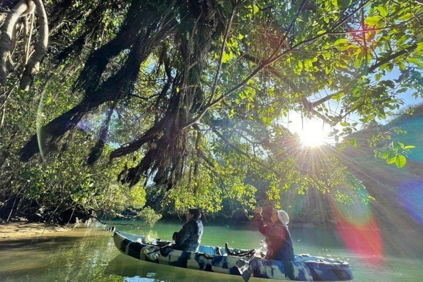 Mangrove kayaking to enjoy nature in Okinawa 1