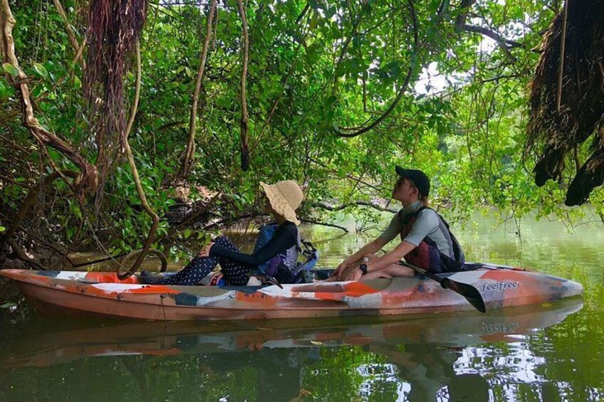 Mangrove kayaking to enjoy nature in Okinawa 2