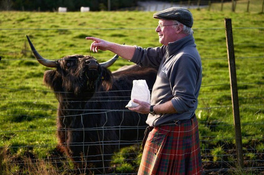 We always try to say hi to the Hairy Highland coos! 2