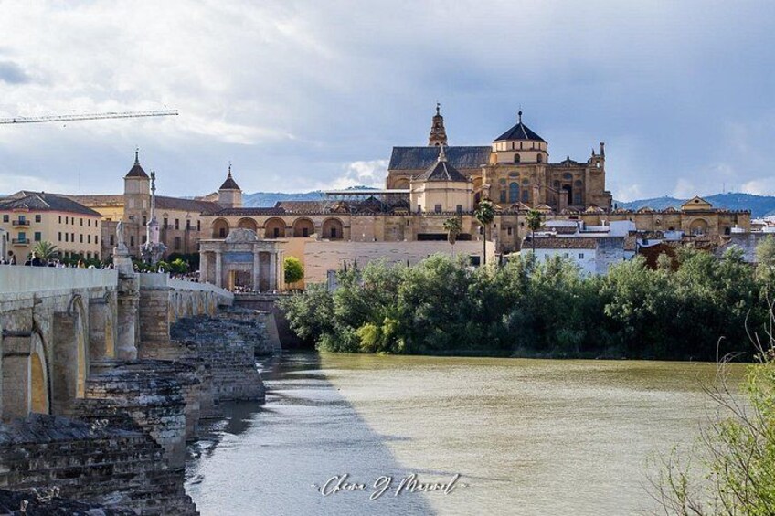 Un puente histórico, un río y una gran catedral al fondo. 1