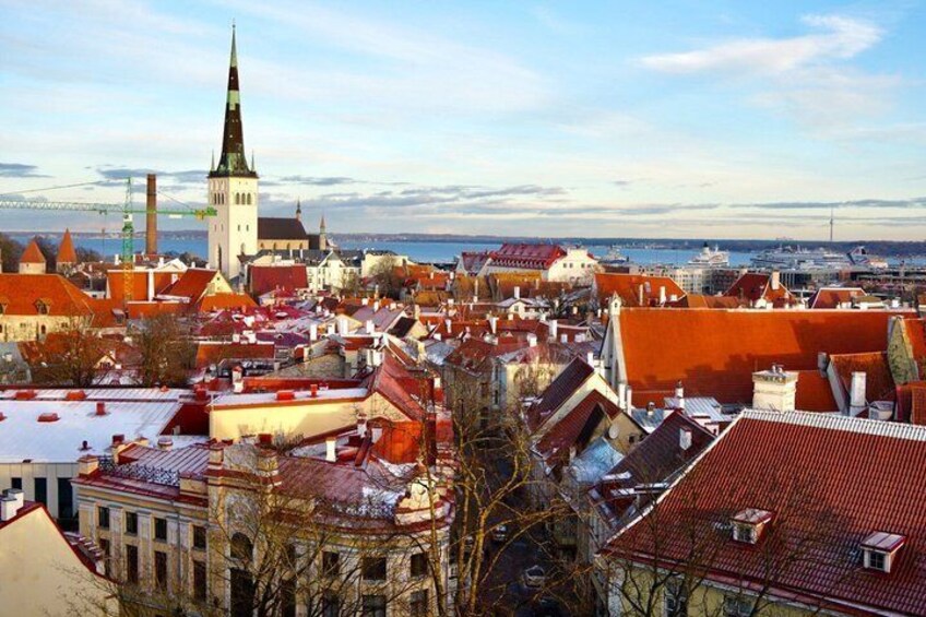 Luxury Day Trip to Tallinn with Business Lounge and lavish buffet 1