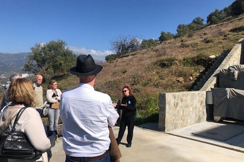 Axarquia VIP Wine Tour with Gourmet Winery Lunch Experience 3