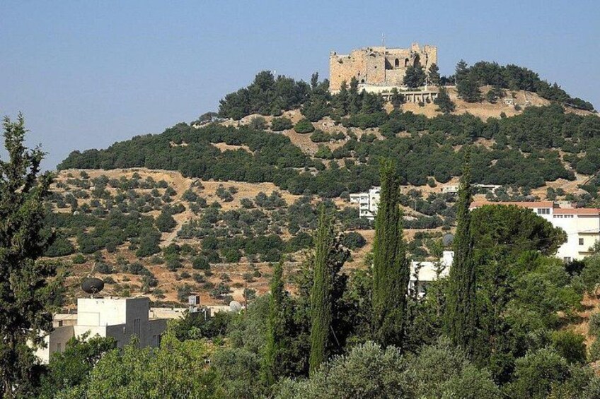 A hilltop castle, dense greenery, and residential buildings. 3