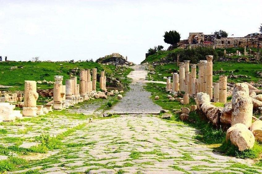 Jerash, Ajloun, Umm Qais Day Trip 4