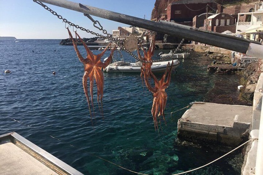 Two octopuses hanging from a chain over a body of water with boats and buildings in the background. 5