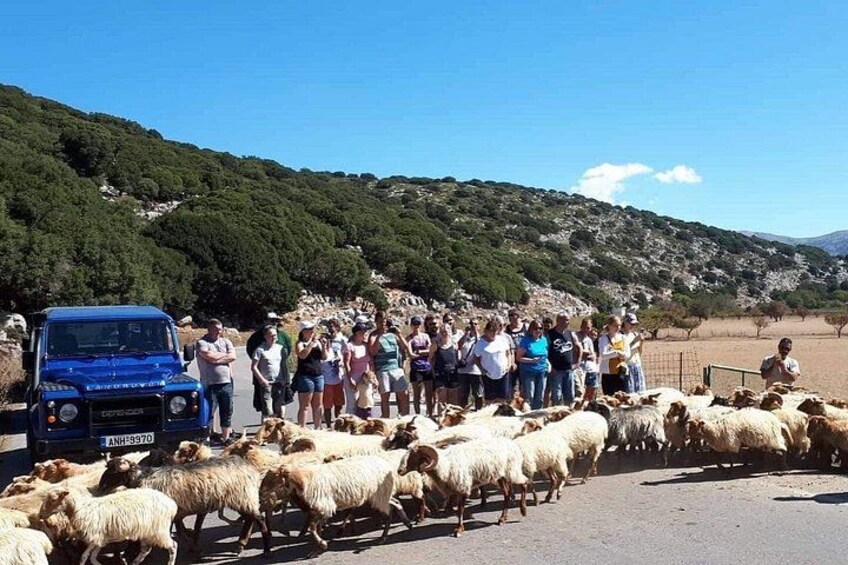 Crete: Tripitis Gorge South Crete Guided Jeep Safari 2
