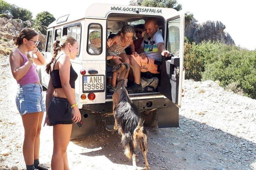 A group of people in a vehicle with a dog, surrounded by rocky terrain and sparse vegetation. 3