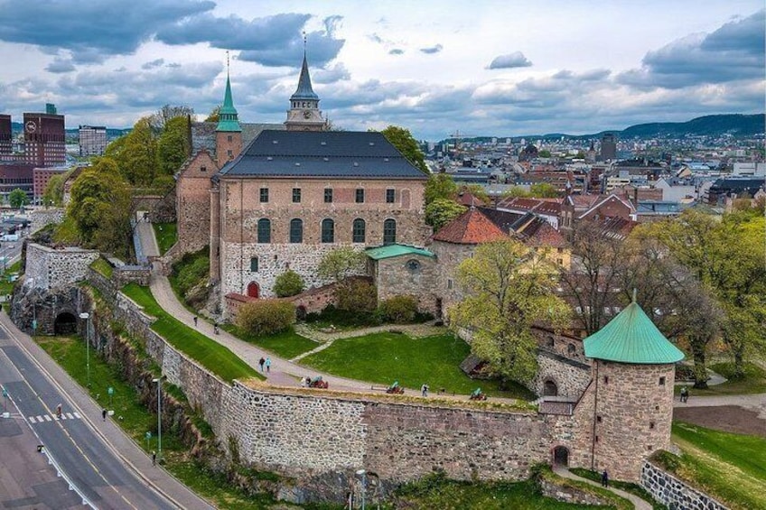 Sightseeing Private Tour of Oslo and Viking Ship Museum