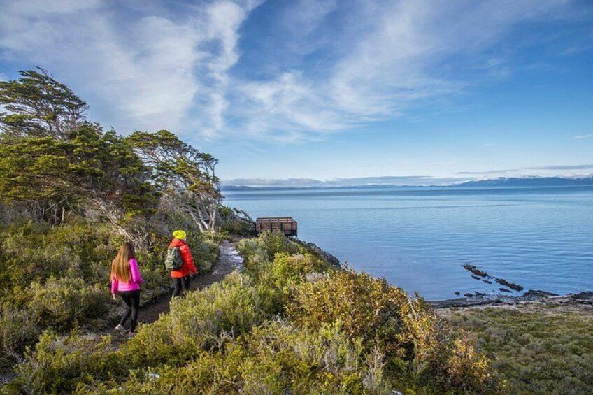A coastal hiking trail with vegetation and a view of the sea. 1