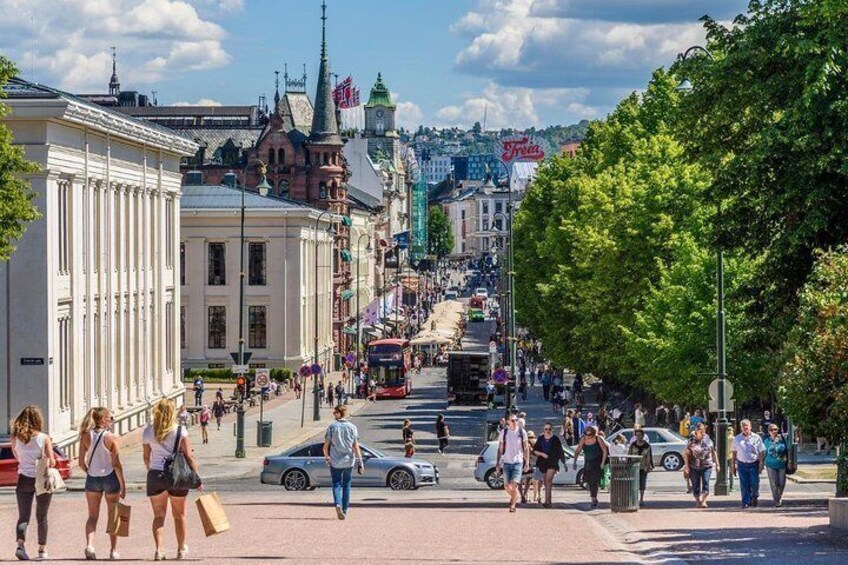 Oslo Highlights with a visit to the Viking Museum