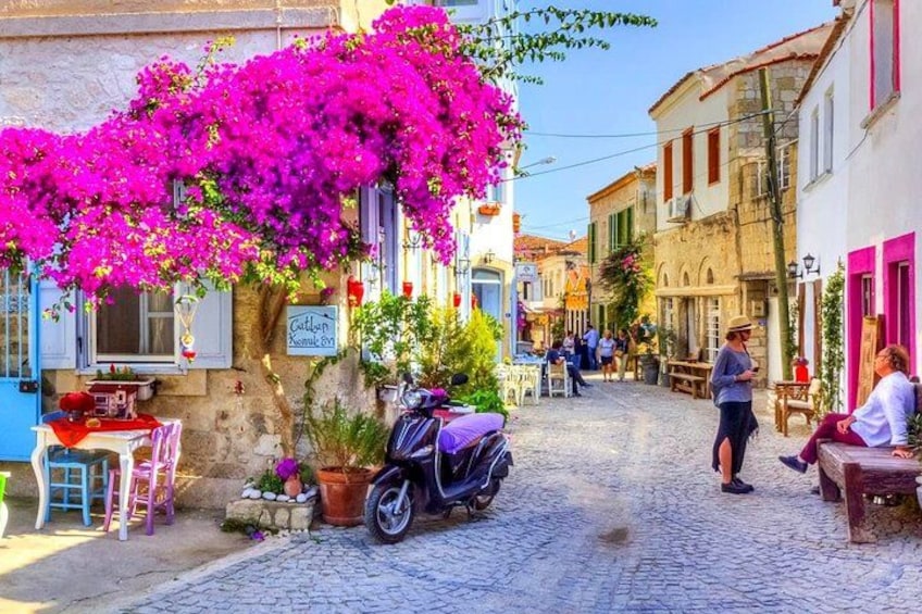 A cobblestone street with a vibrant bougainvillea tree, outdoor seating, and traditional architecture. 4