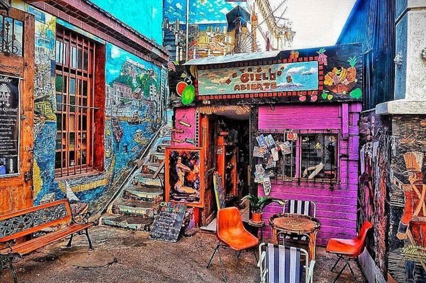 Valparaíso Tour - Viña del Mar 1