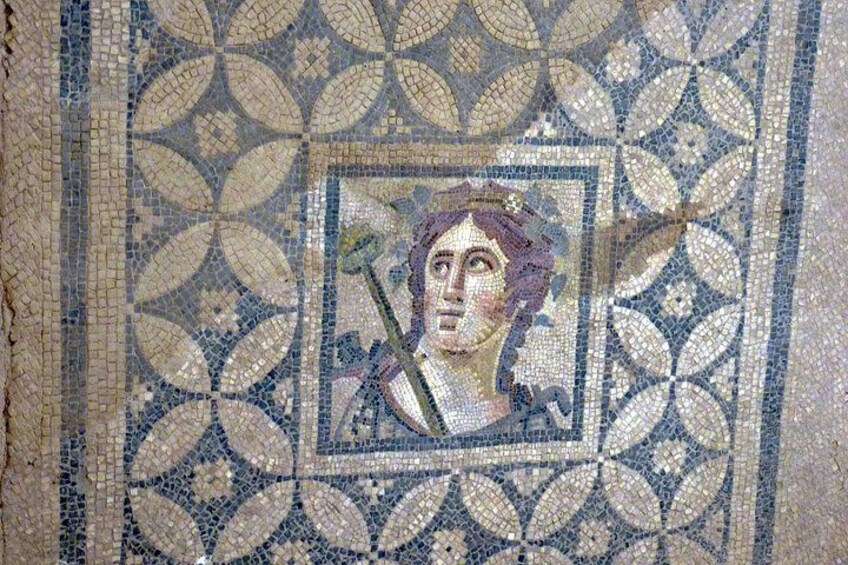 Terrace Houses in Ephesus 5