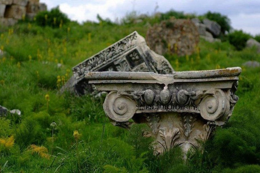 Una antigua estructura de piedra con intrincados grabados, rodeada de hierba verde exuberante y flores silvestres. 2