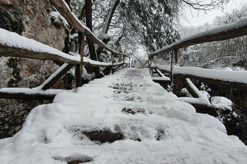 Plitvice Lakes Tour: Secured Tickets, Train & Boat Ride 3