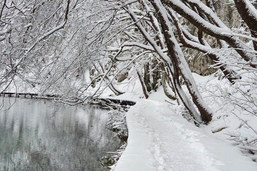 Plitvice Lakes Tour: Secured Tickets, Train & Boat Ride 4