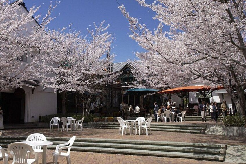 Nagano Sake Tasting Walking Tour 2