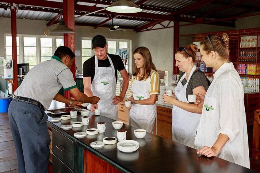 Tea tasting session at the end of every tea tour 5