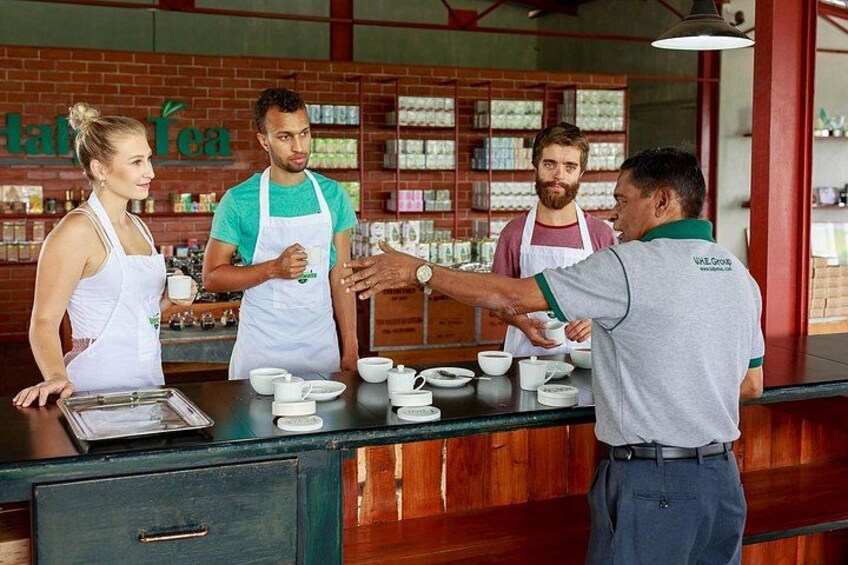 At a tea tasting session you will be able to taste almost every type of tea found in Sri Lanka 1
