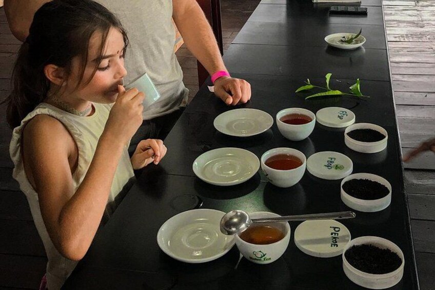 Halpewatte Tea Factory Tour in Ella Sri Lanka 4
