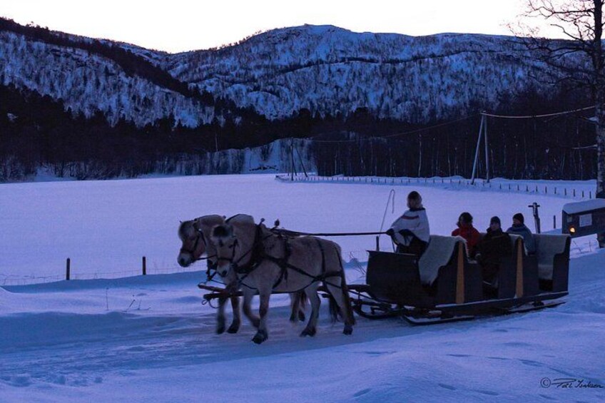 A horse-drawn sleigh on a snowy landscape with mountains in the background. 3