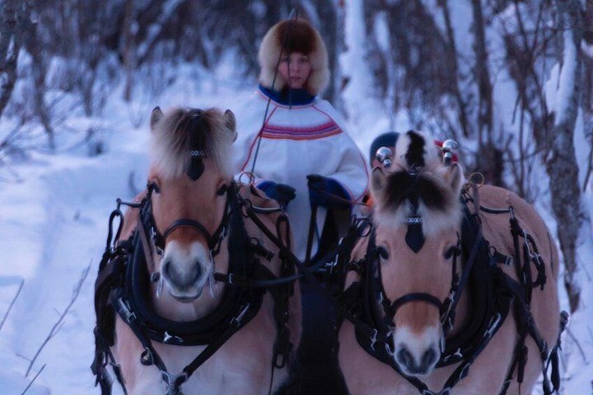 A person in a fur hat riding a sleigh pulled by two horses in a snowy landscape. 4