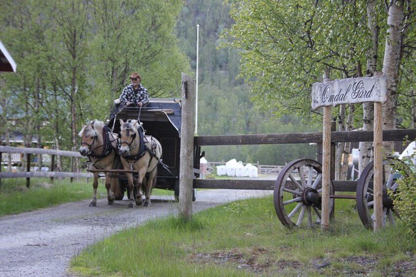 Eine Kutsche auf einer Landstraße, ein hölzernes Wegweiser mit 'Omdal Gate' und ein Holzzaun. 3