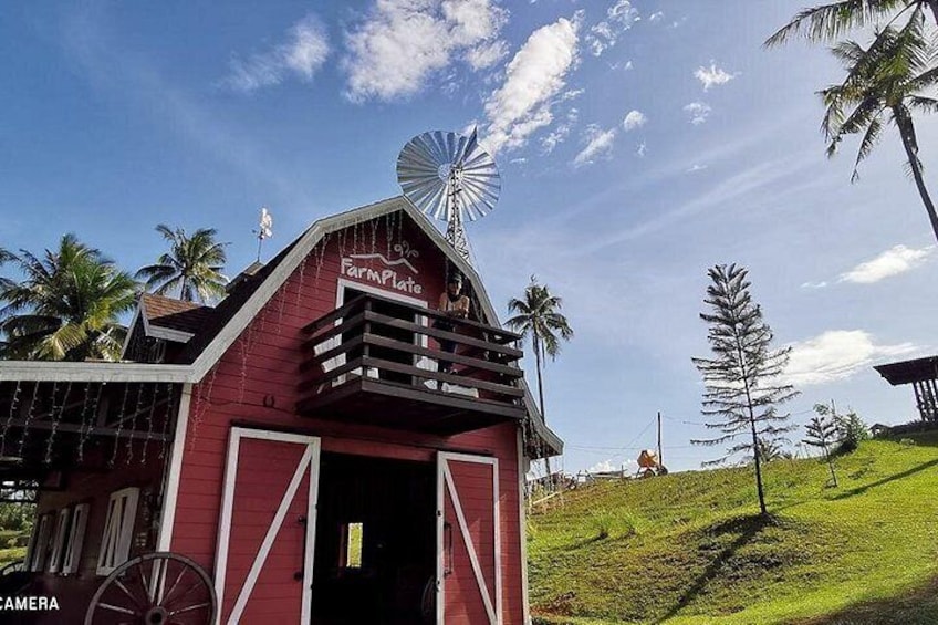Une grange rouge avec un moulin à vent, des palmiers et une colline verdoyante. 4