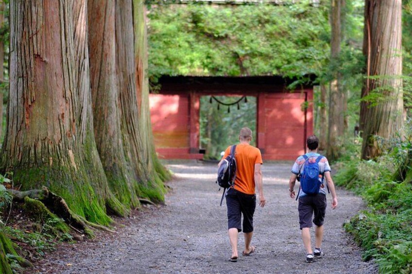 Dos personas caminando por un sendero en el bosque, con árboles altos y una estructura roja al fondo. 1