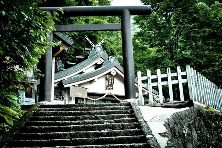 Togakushi: A Serene Walk Through Sacred Forests & Soba Traditions 2