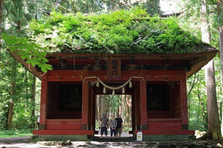 Lush green Zuishinmon gate in summer, surrounded by forest. 4