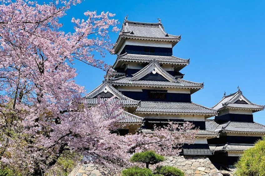 Matsumoto Castle, Sake & Local Bites Walking Tour 5